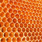 Natural Honey - Honeycomb Image credit to krayker